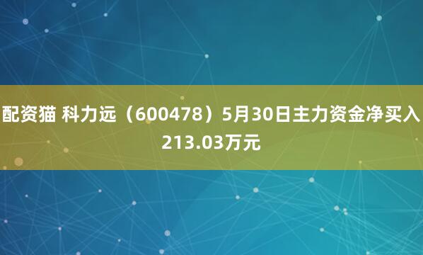 配资猫 科力远（600478）5月30日主力资金净买入213.03万元