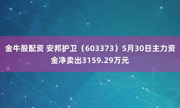 金牛股配资 安邦护卫（603373）5月30日主力资金净卖出3159.29万元