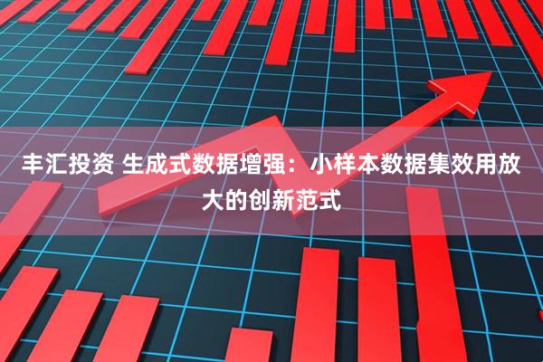 丰汇投资 生成式数据增强：小样本数据集效用放大的创新范式