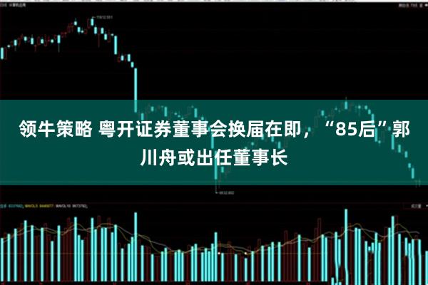 领牛策略 粤开证券董事会换届在即，“85后”郭川舟或出任董事长