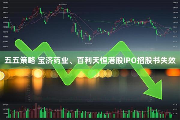 五五策略 宝济药业、百利天恒港股IPO招股书失效