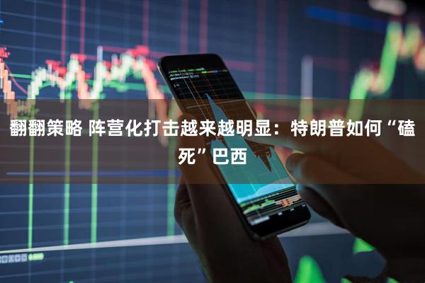 翻翻策略 阵营化打击越来越明显：特朗普如何“磕死”巴西