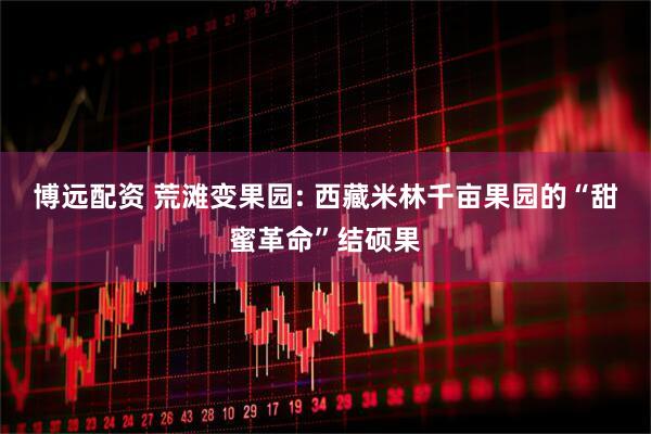 博远配资 荒滩变果园: 西藏米林千亩果园的“甜蜜革命”结硕果