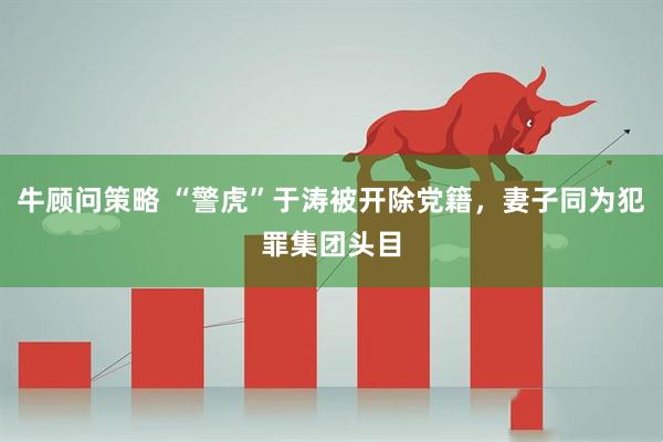 牛顾问策略 “警虎”于涛被开除党籍，妻子同为犯罪集团头目