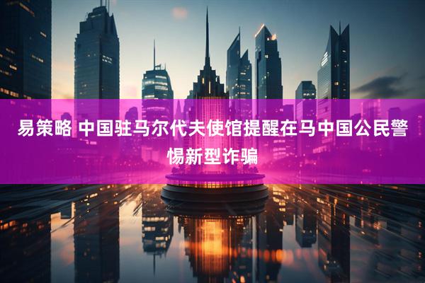 易策略 中国驻马尔代夫使馆提醒在马中国公民警惕新型诈骗