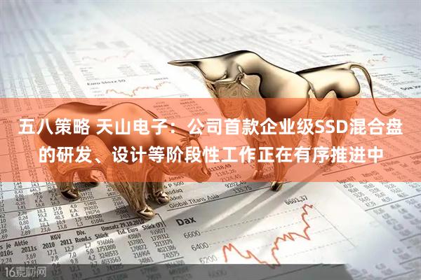 五八策略 天山电子：公司首款企业级SSD混合盘的研发、设计等阶段性工作正在有序推进中