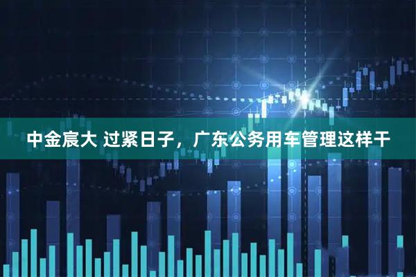 中金宸大 过紧日子,广东公务用车管理这样干