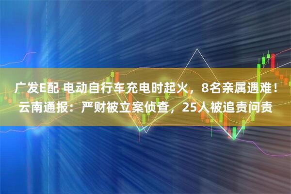 广发E配 电动自行车充电时起火,8名亲属遇难!云南通报:严财被立案侦查,25人被追责问责